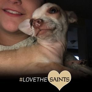 Meet your Posher, Stefanie